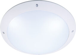 LARA ANTI VANDAL AVEC DETECTEUR 0980